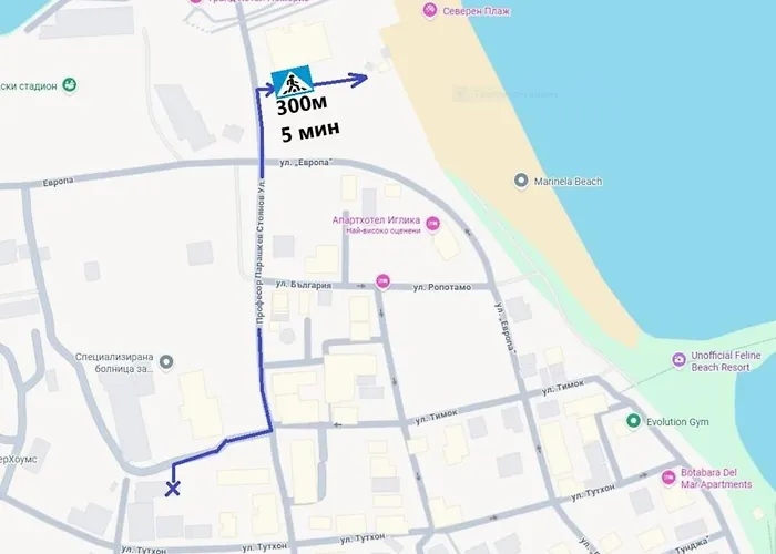 радина * Pomorie